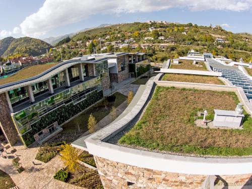 Buildings with extensive green roofs